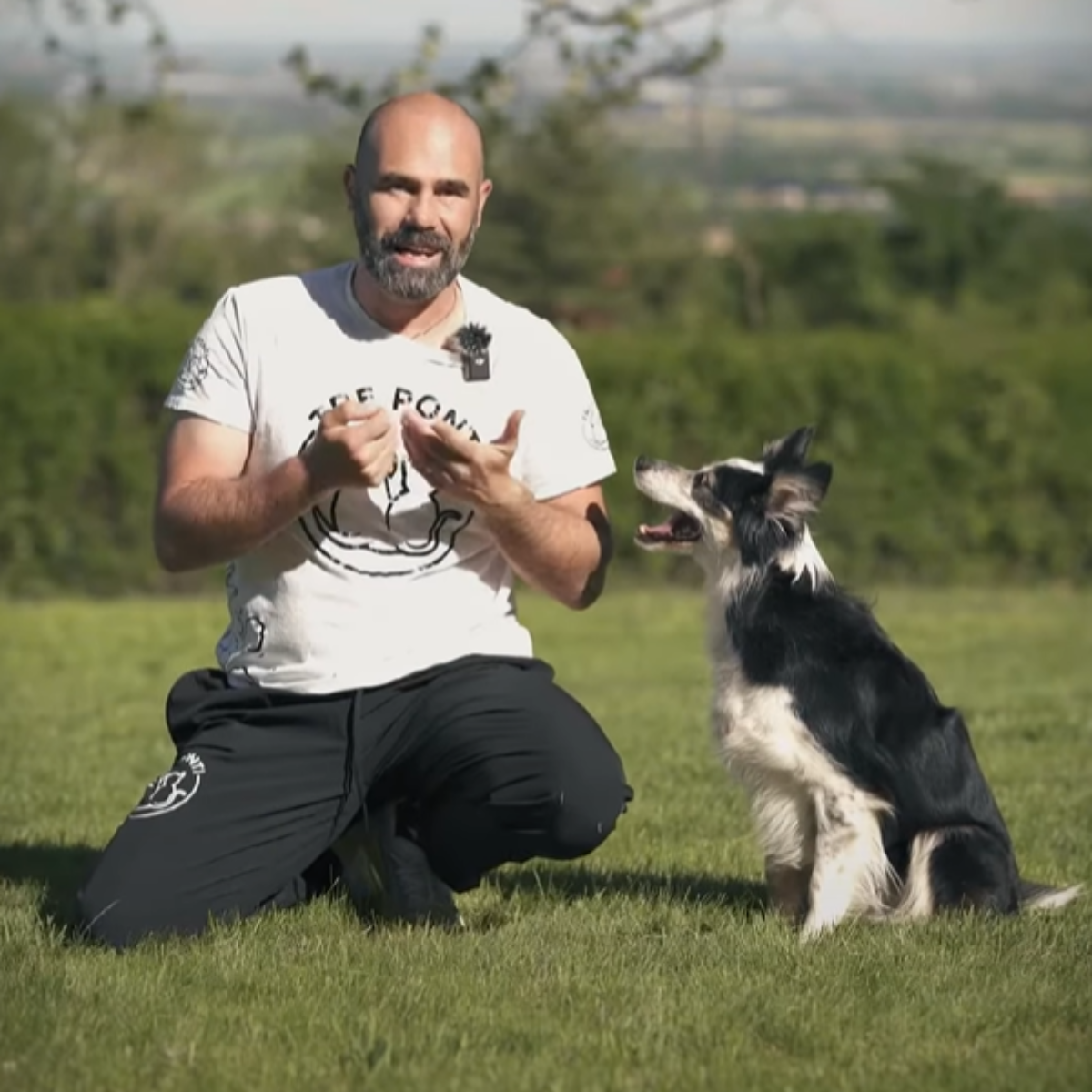 Ruba bandiera con Hurricane